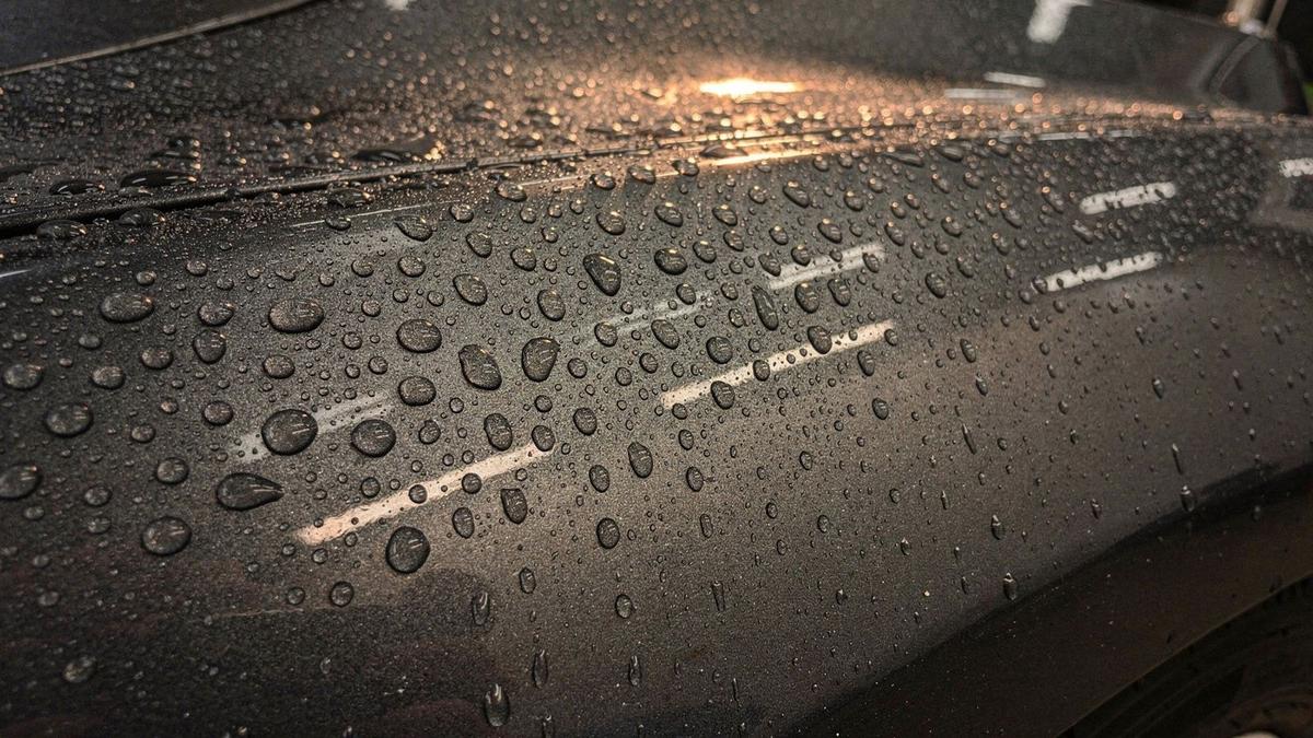 Macro view of a dark car panel with ceramic coating beading water into rounded droplets